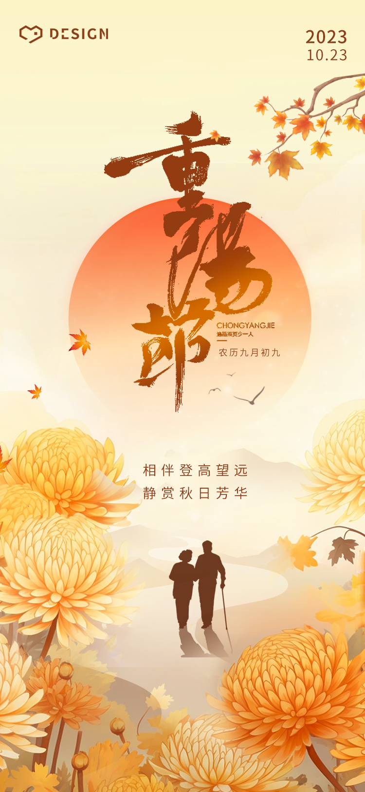 秋意渐浓，菊花盛开，重阳节悄然降临